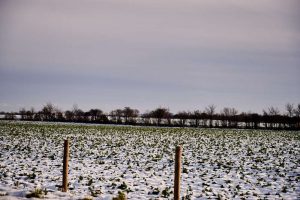 cotswolds, uk, england, fairford, snow, winter wonderland, sunshine, blue sky,