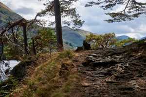aira force, waterfall, ullswater, lake district, england, cumbria, glenriddigg, photos and the city