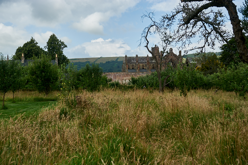Priorwood Garden next to Melrose Abbey in the Scottish Borders, Scotland, United Kingdom