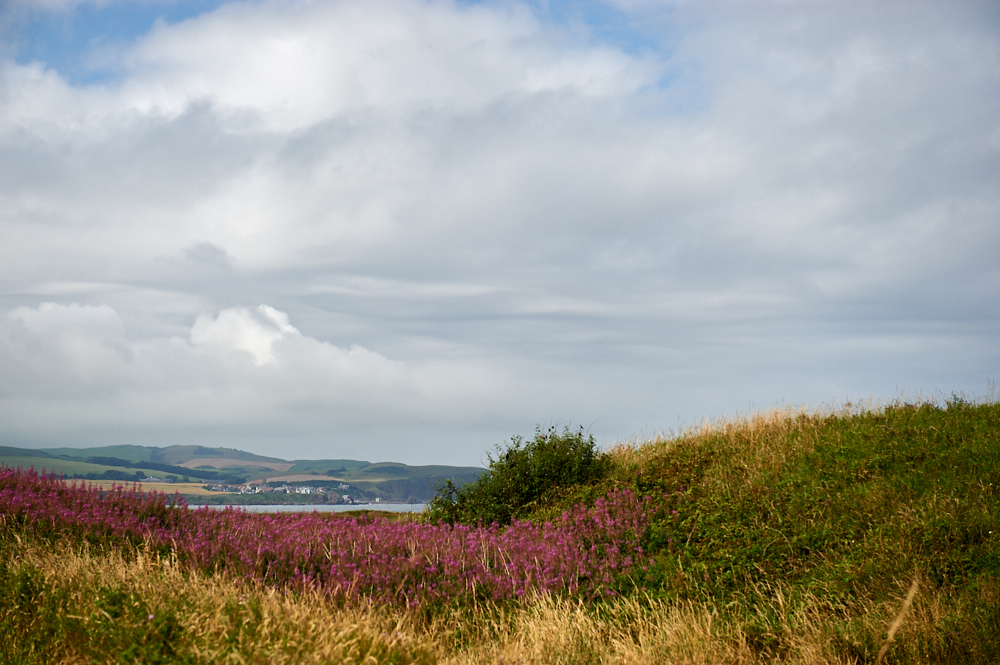 A walk along the stunning coastline near Eyemouth, Scottish Borders, Scotland - view of St. Abbs.