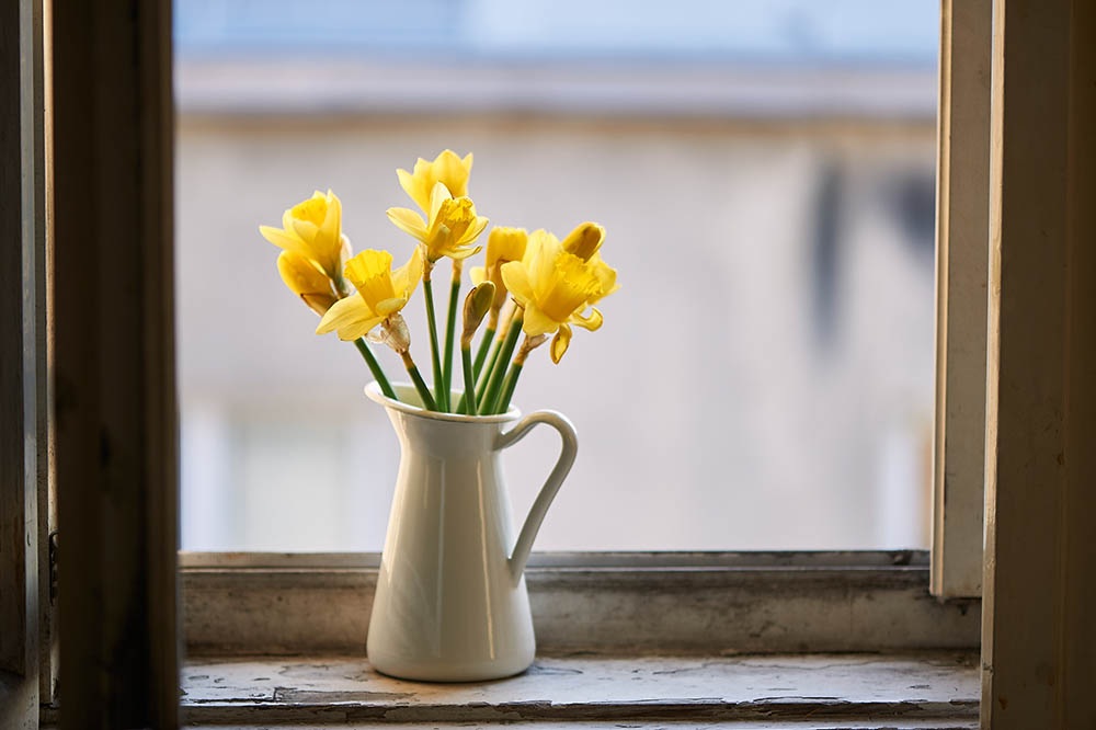 Photo stillife with some spring blooms, getting spring inside your home