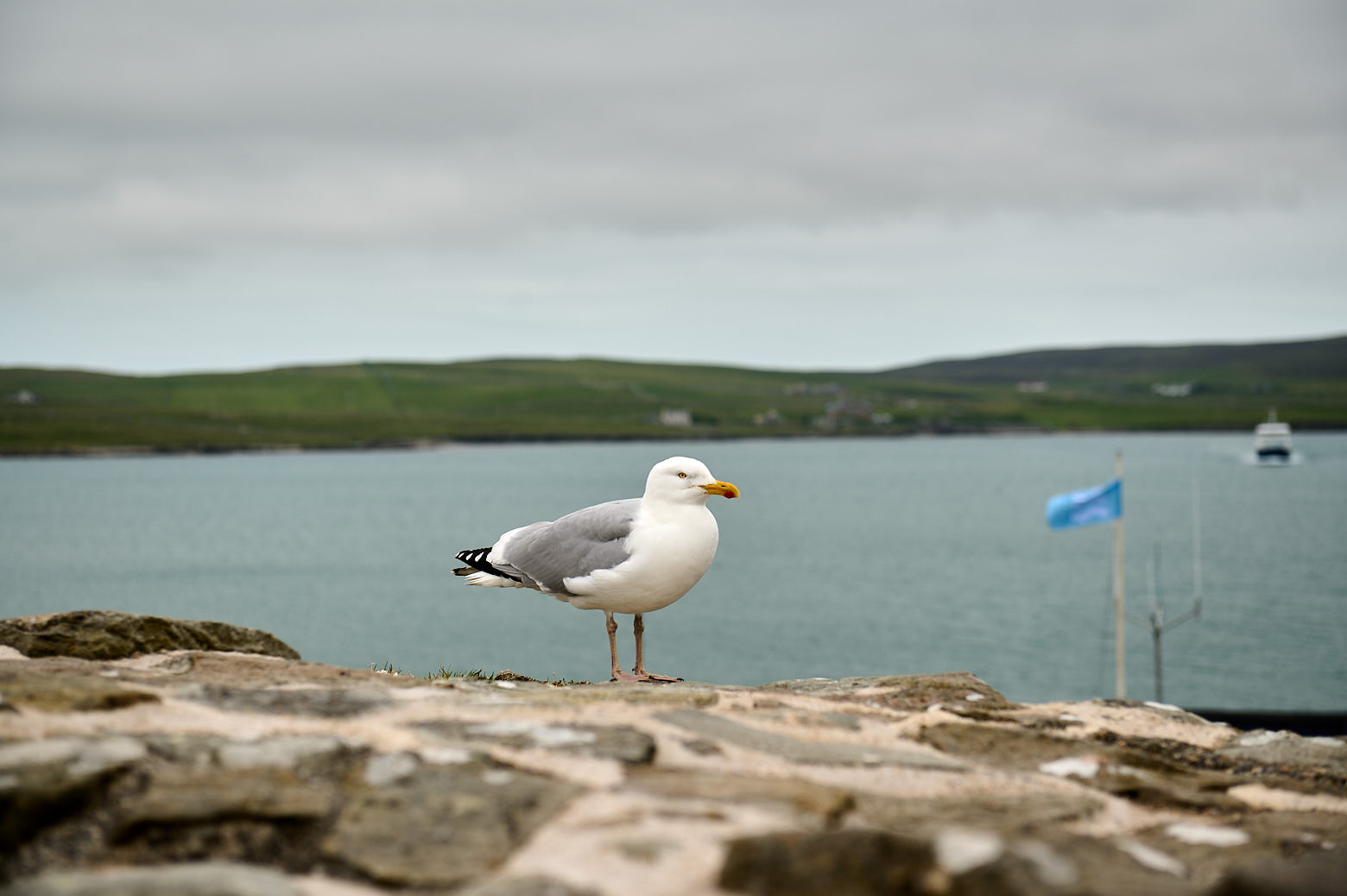 A walk on Saturday morning along the coastline of Lerwick in Shetland.