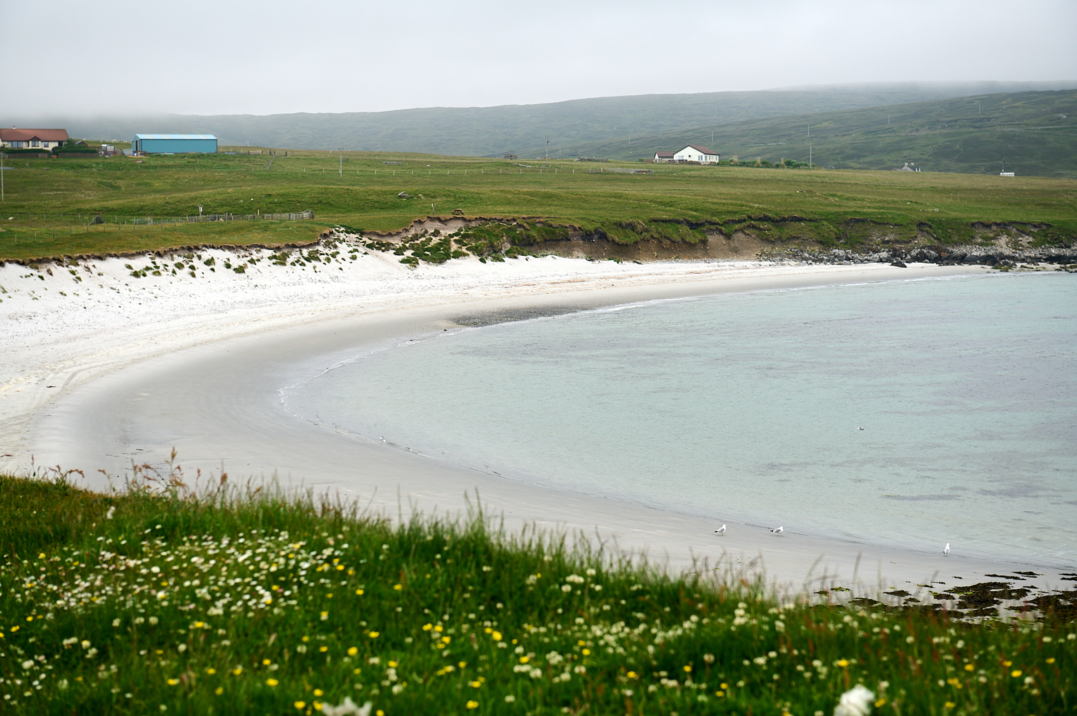 exploring Yell, an island north of Shetland mainland.