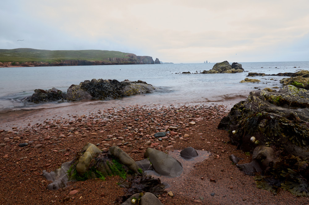 Taking a walk on the red beach in Braewick, up in the north of Shetland