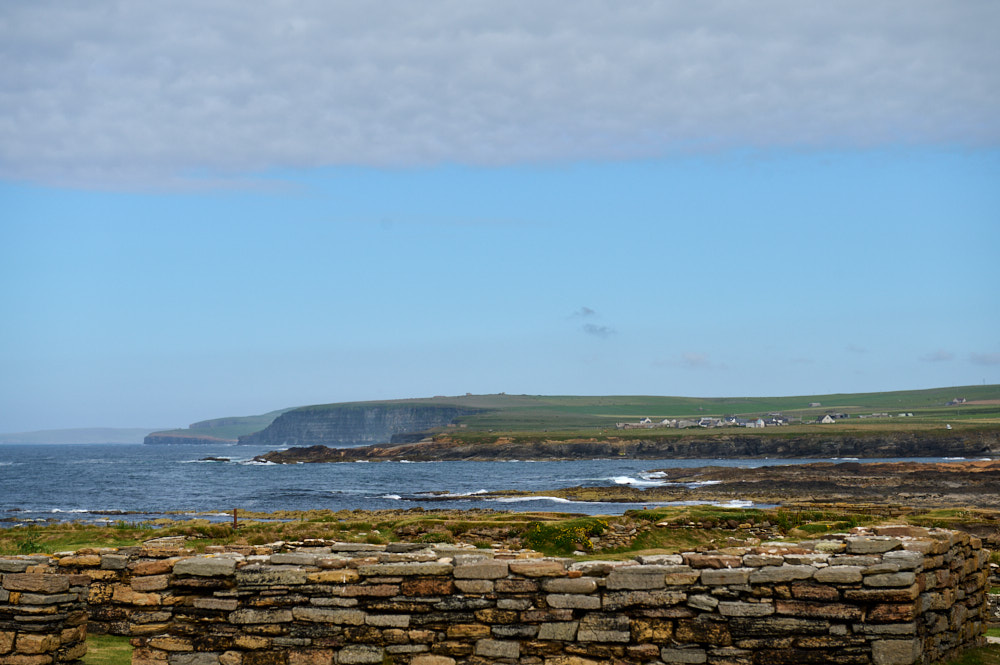 Walking on the Isle of Birsay and meeting lots of Puffins.