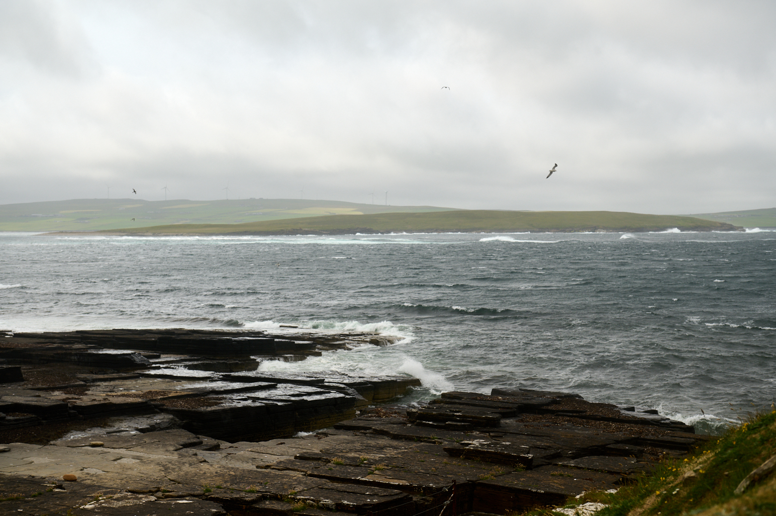 Exploring Rousay and the Midhowe Cairn & Broch in Orkney.