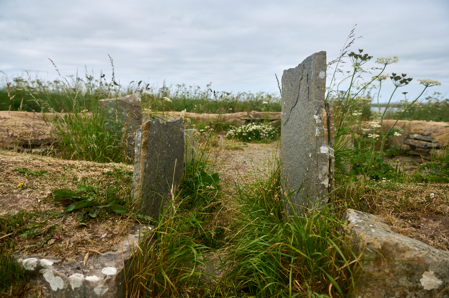 Visiting the Heart of the Neolithic Orkney, the Standing Stones at Stenness.