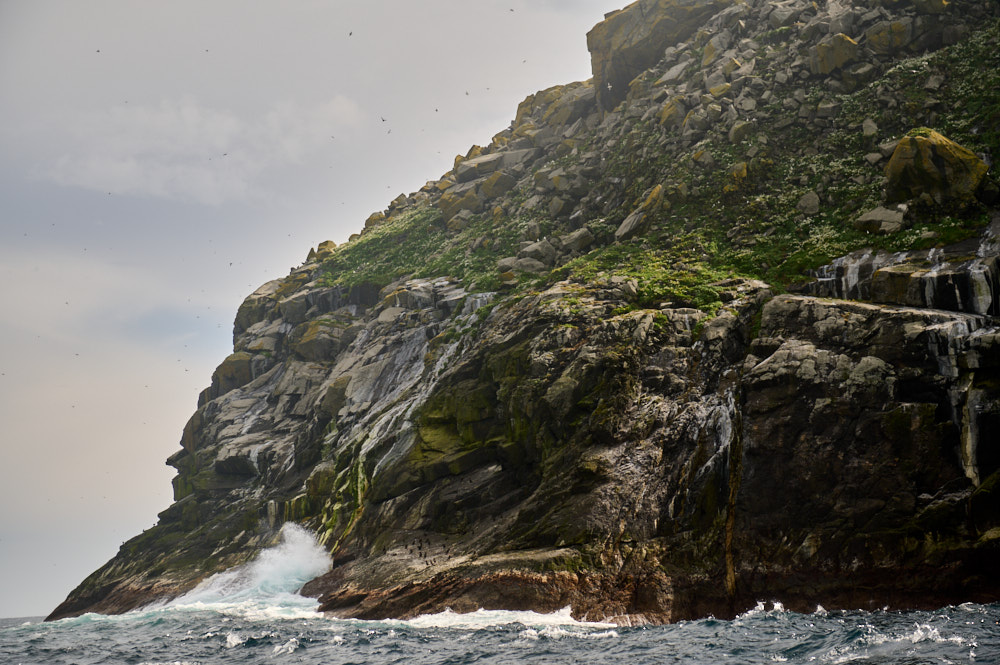 Saying good bye to Hirta, the biggest islands of the St Kilda archipelago.