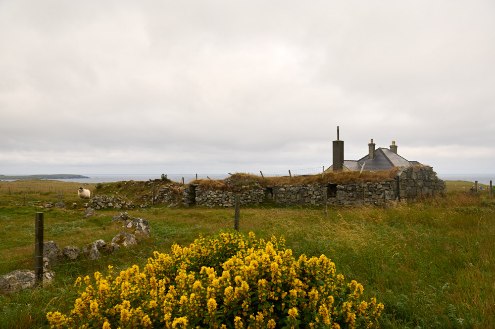 Walking around Arnol in Lewis and looking for all the blackhouses.