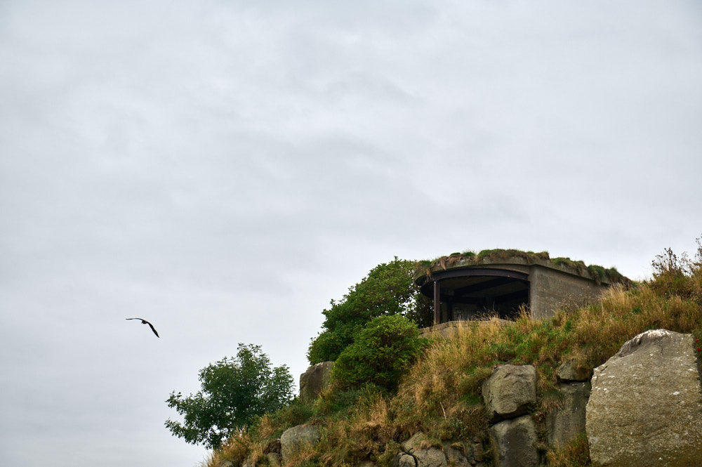 exploring Incholm Island in the Firth of Forth near Edinburgh