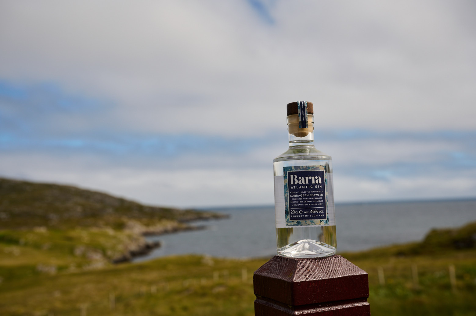 Barra Gin set in Scene