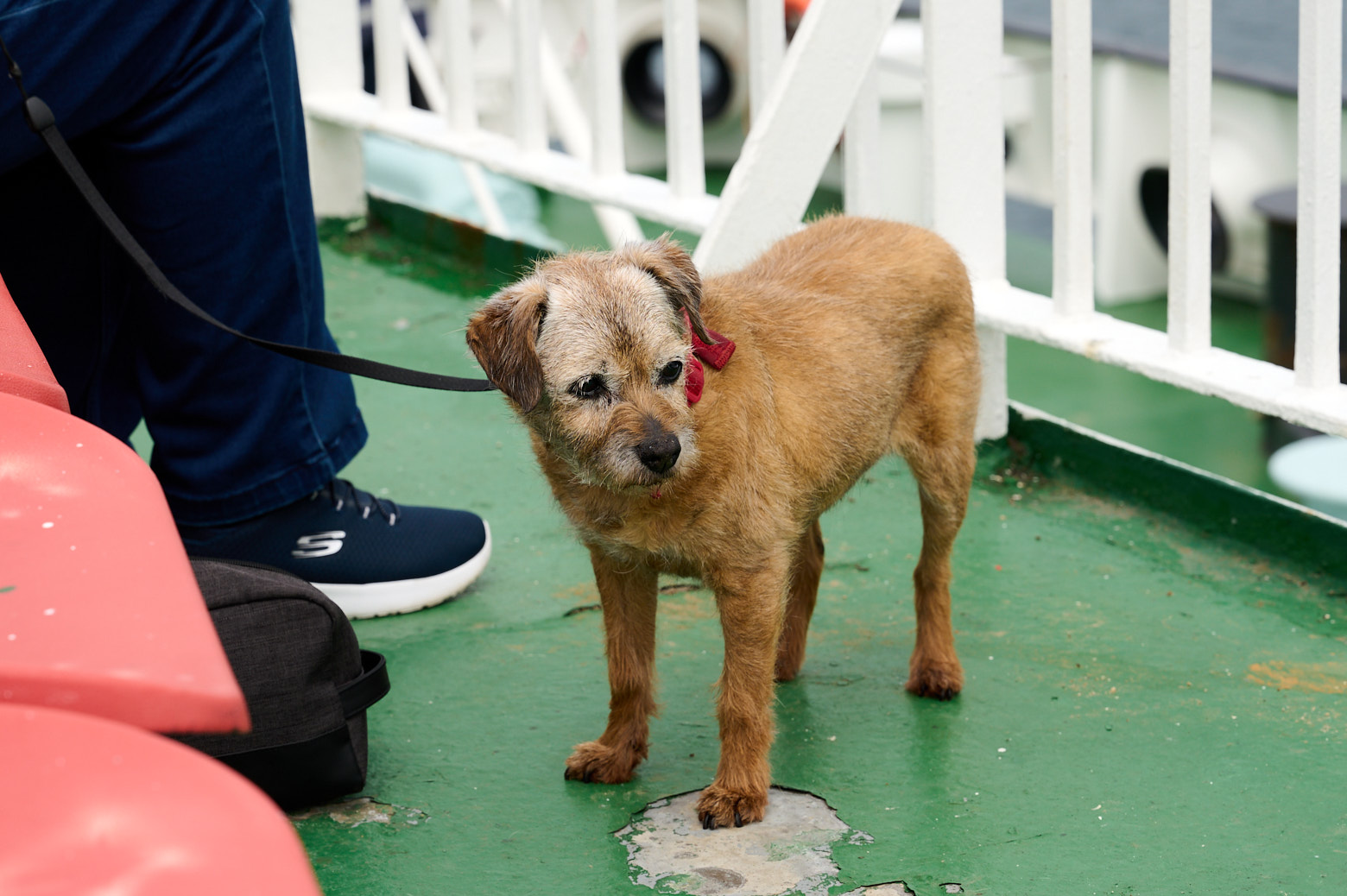 On the ferry from Oban to Barra in the Outer Hebrides.