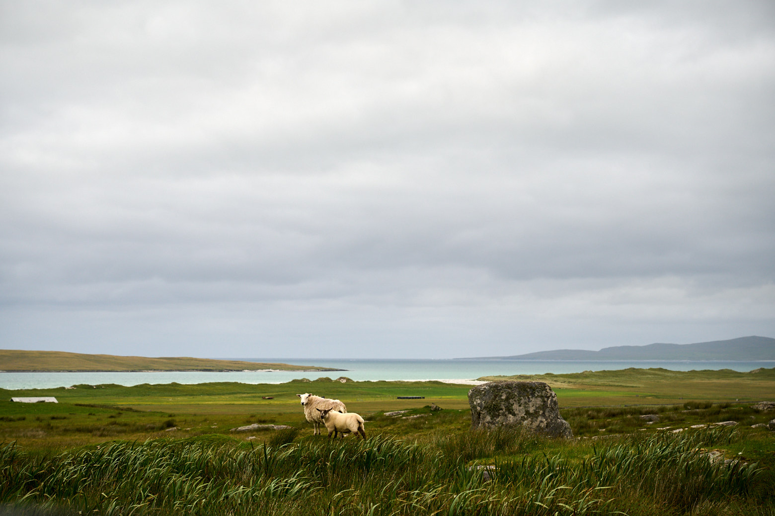 Visiting Berneray and all the beaches, North Uist