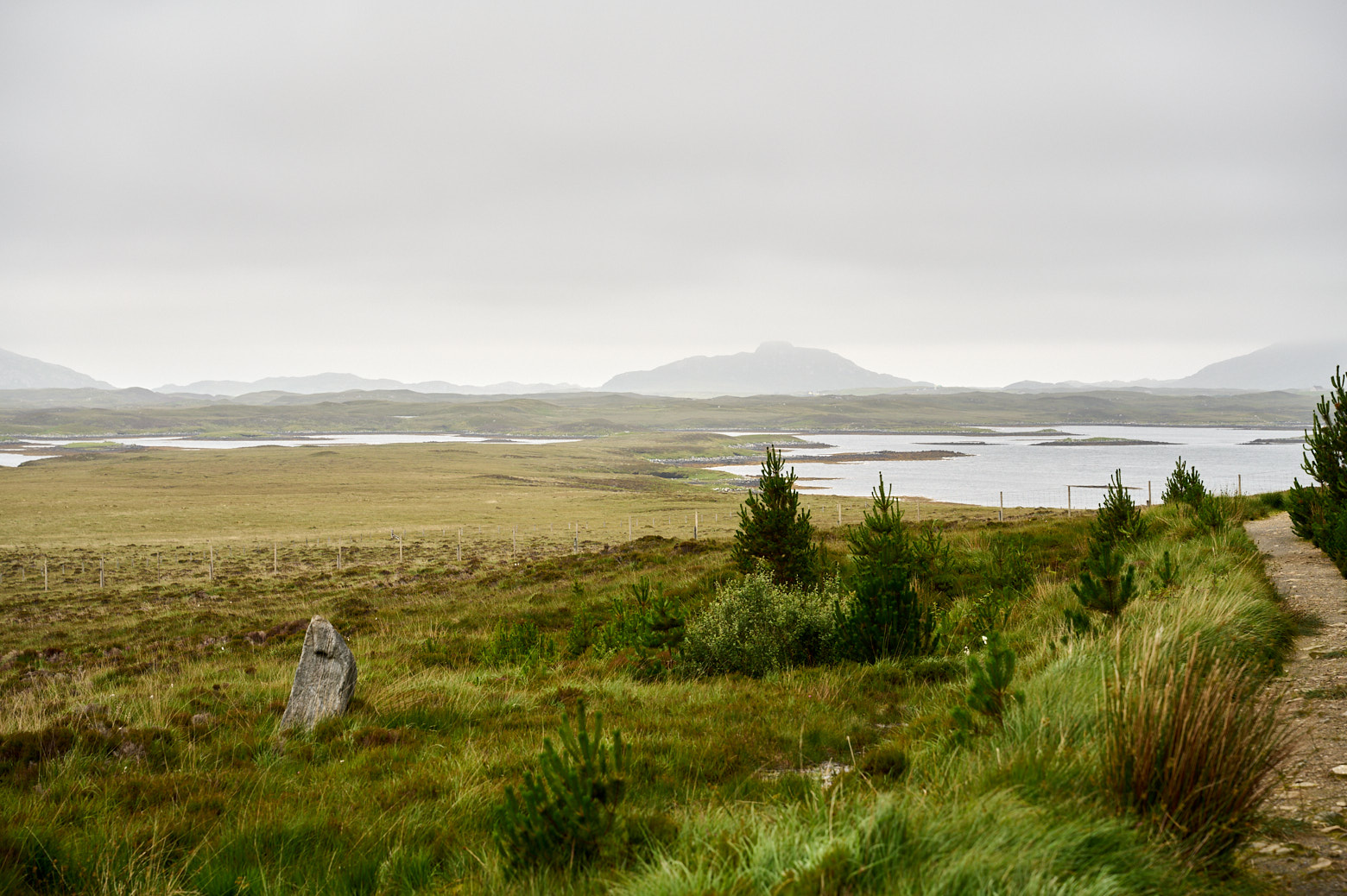 Talking a walk in a forrest in North Uist, Outer hebrides