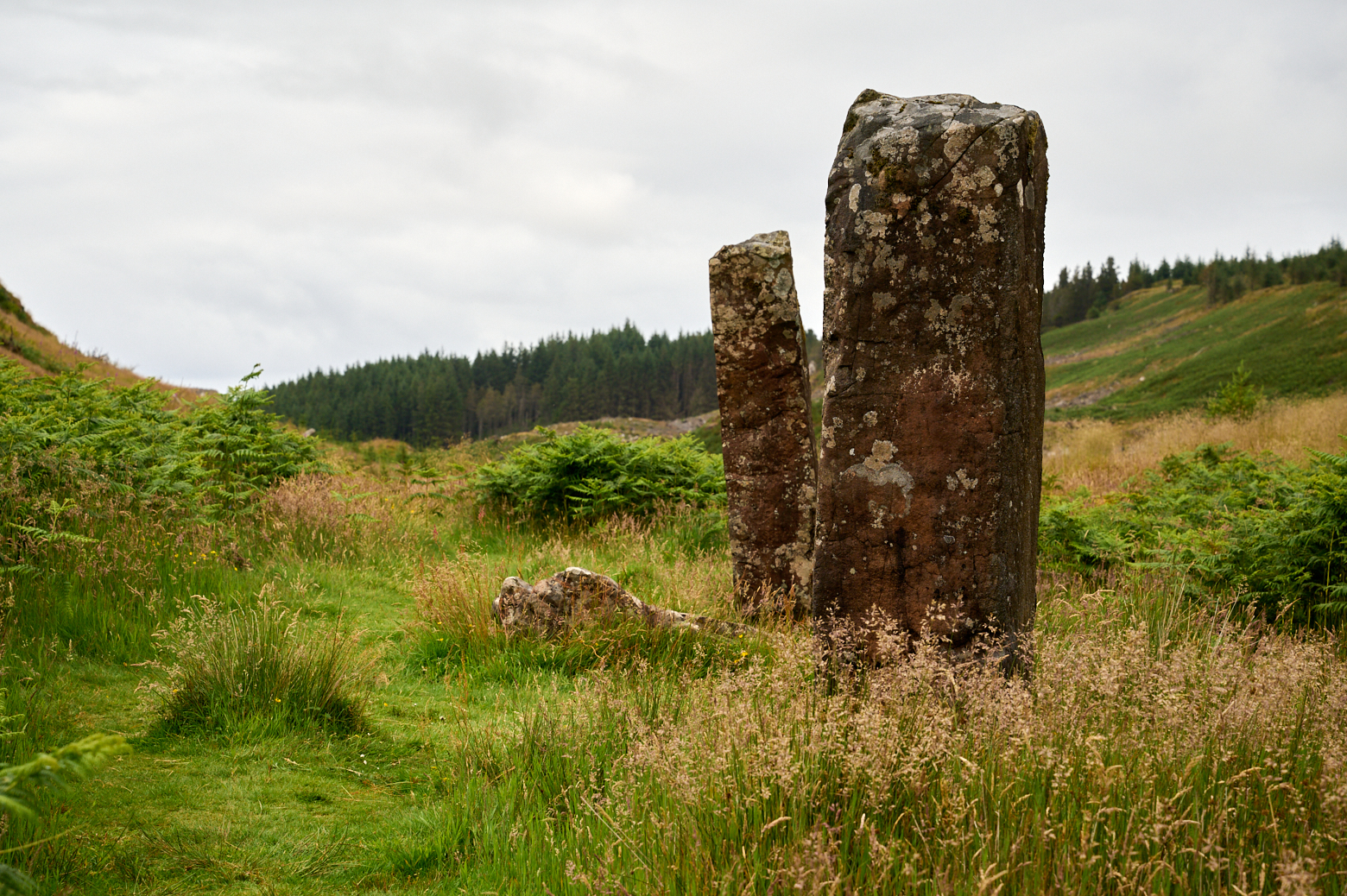 The Baliscate Standing Stones near Tobermory on the Isle of Mull.