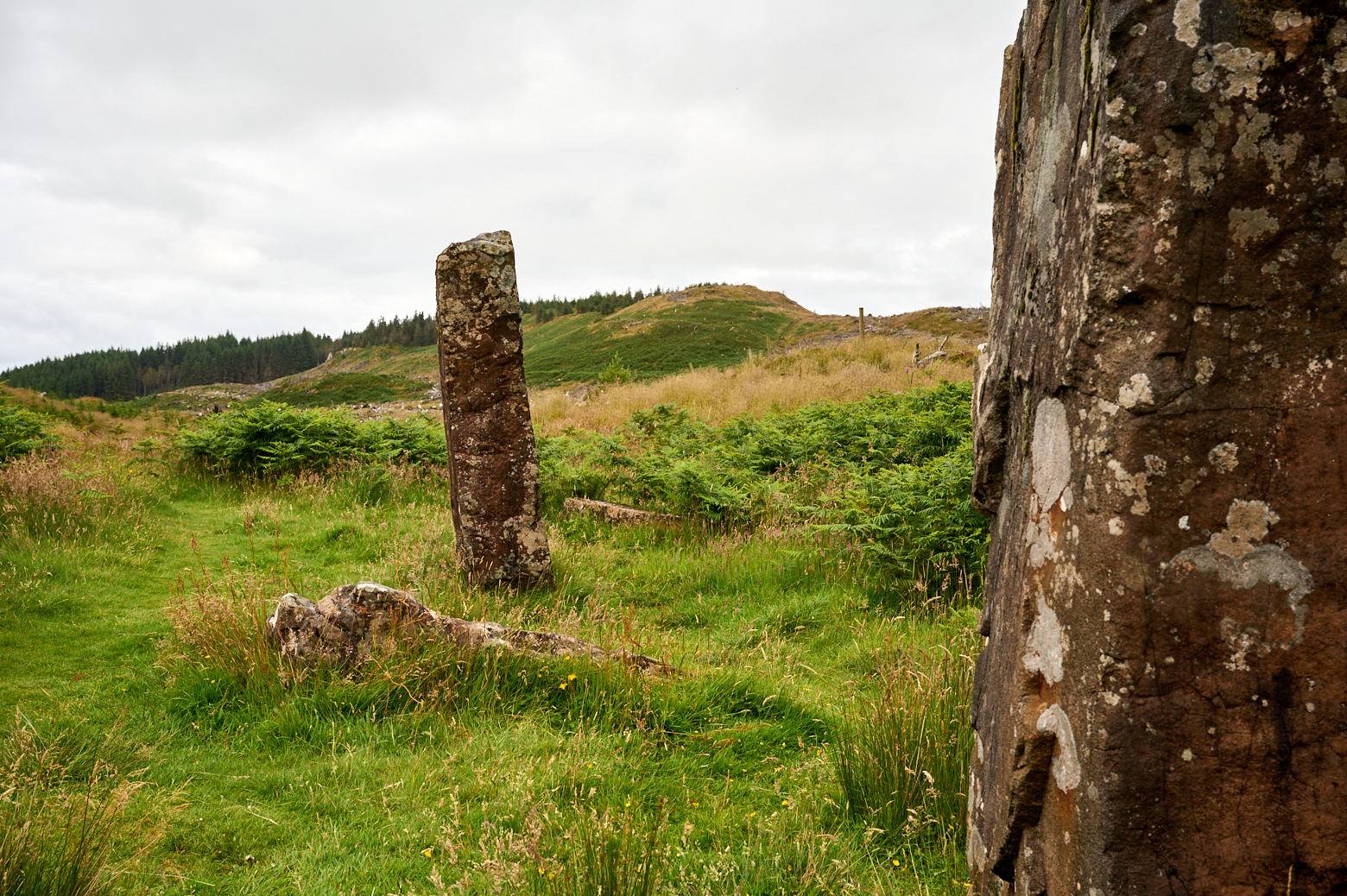 The Baliscate Standing Stones near Tobermory on the Isle of Mull.
