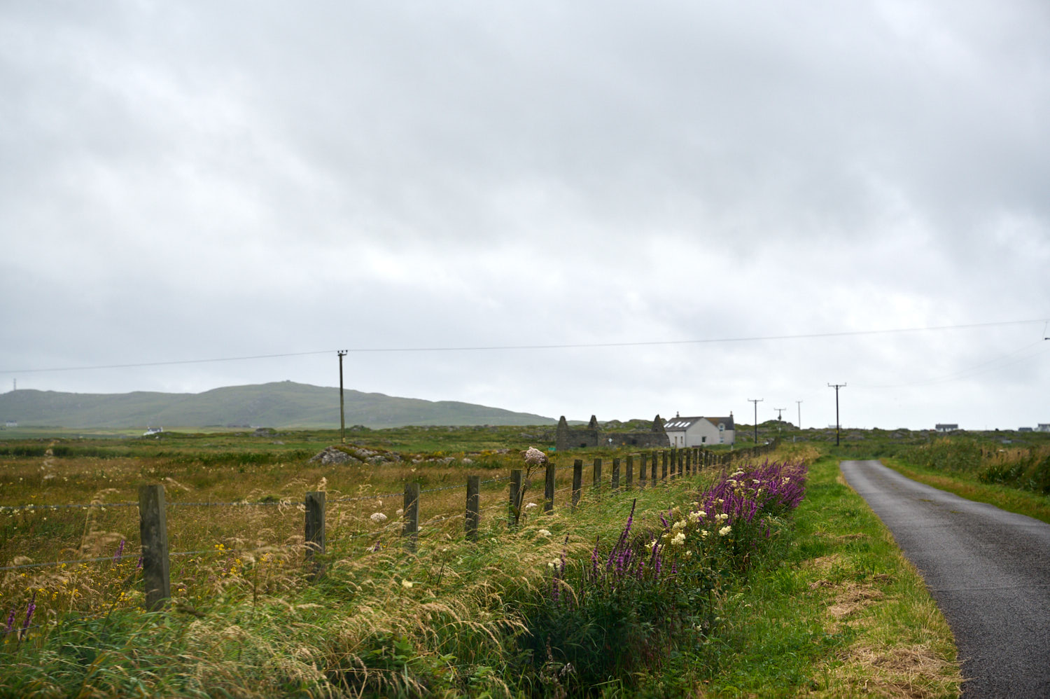 Around Tiree, all the meadows and beaches
