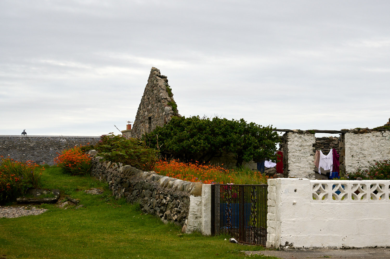 Walking through Port Wemyss in the Isle of Islay